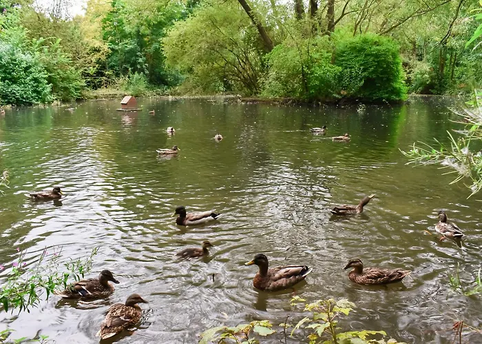 Forge House * Thornton Dale